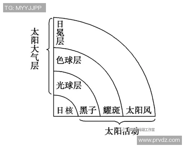 观众停车区域划分的重要性及其对活动顺利进行的影响分析